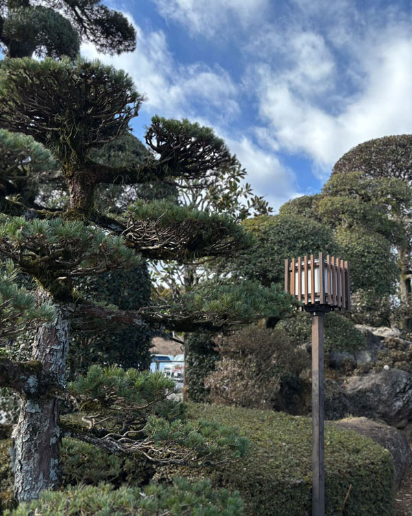 きれいに整えられた庭園の画像