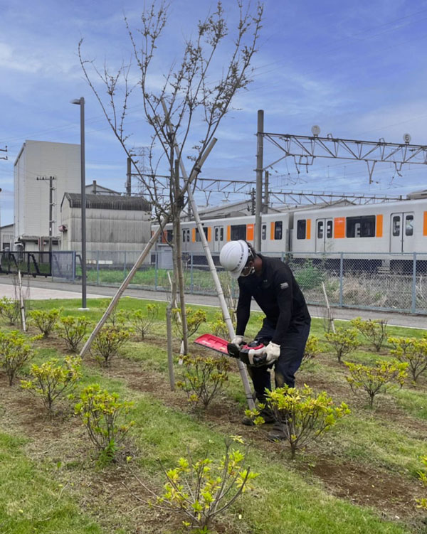 刈込み作業をしている画像