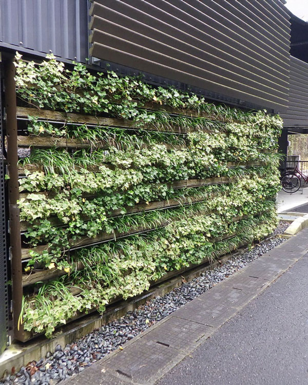 壁面緑化の画像
