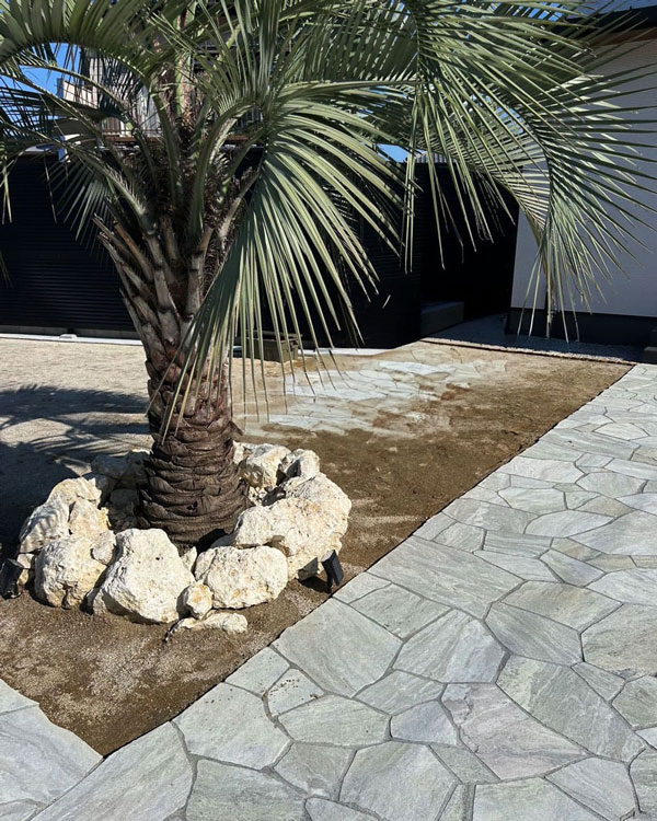 椰子の木のある洋風庭園の画像