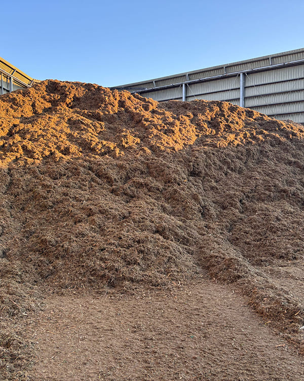 対比を作っている画像