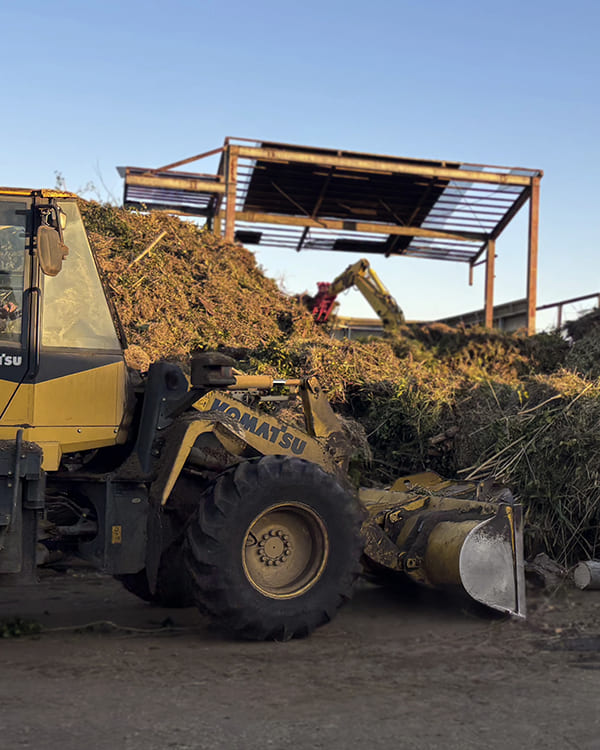 剪定枝葉を運搬している画像