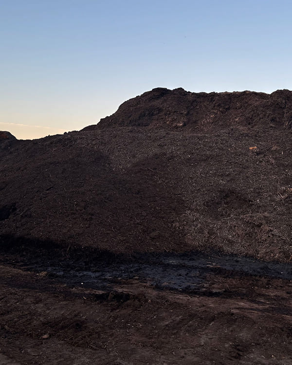 完成した堆肥の画像