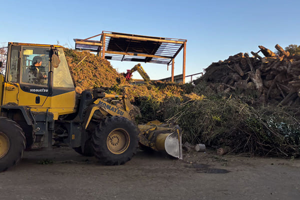 剪定枝葉を運搬している画像