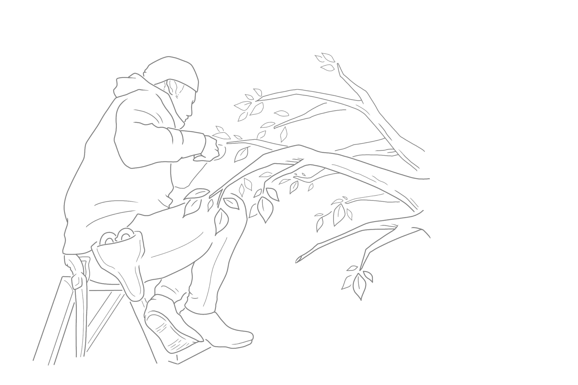 庭師が木の剪定をしているイラスト