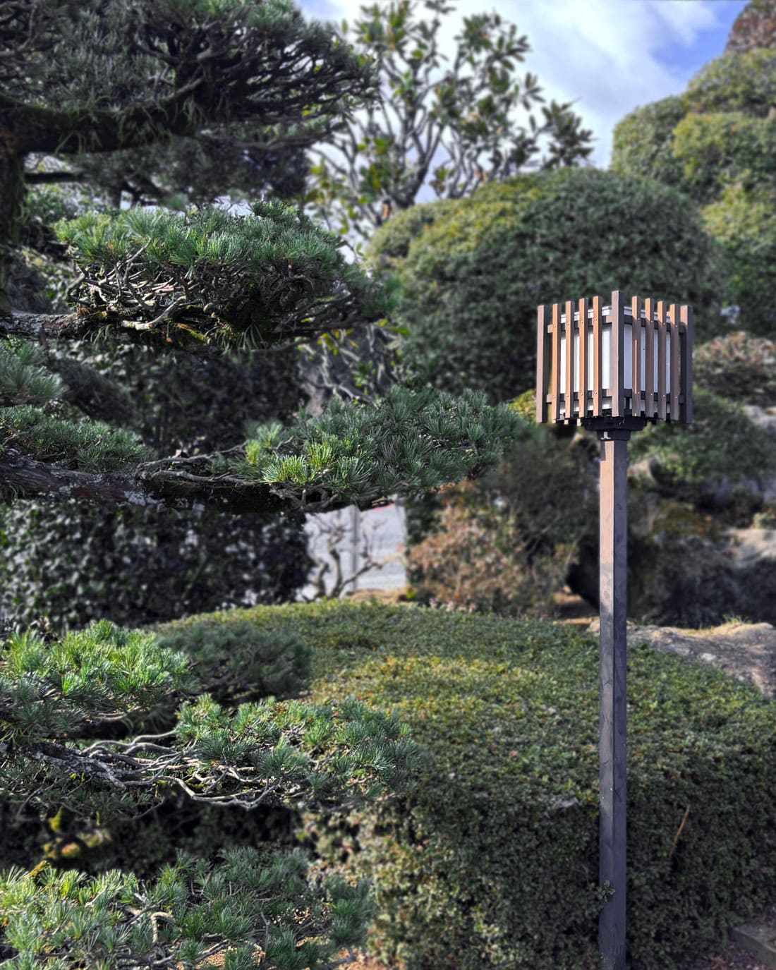 綺麗に手入れされた庭園の画像