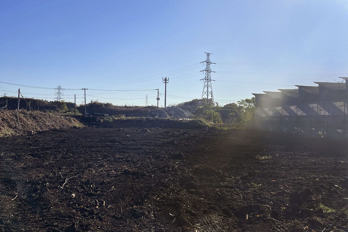 きれいに伐採された私有地