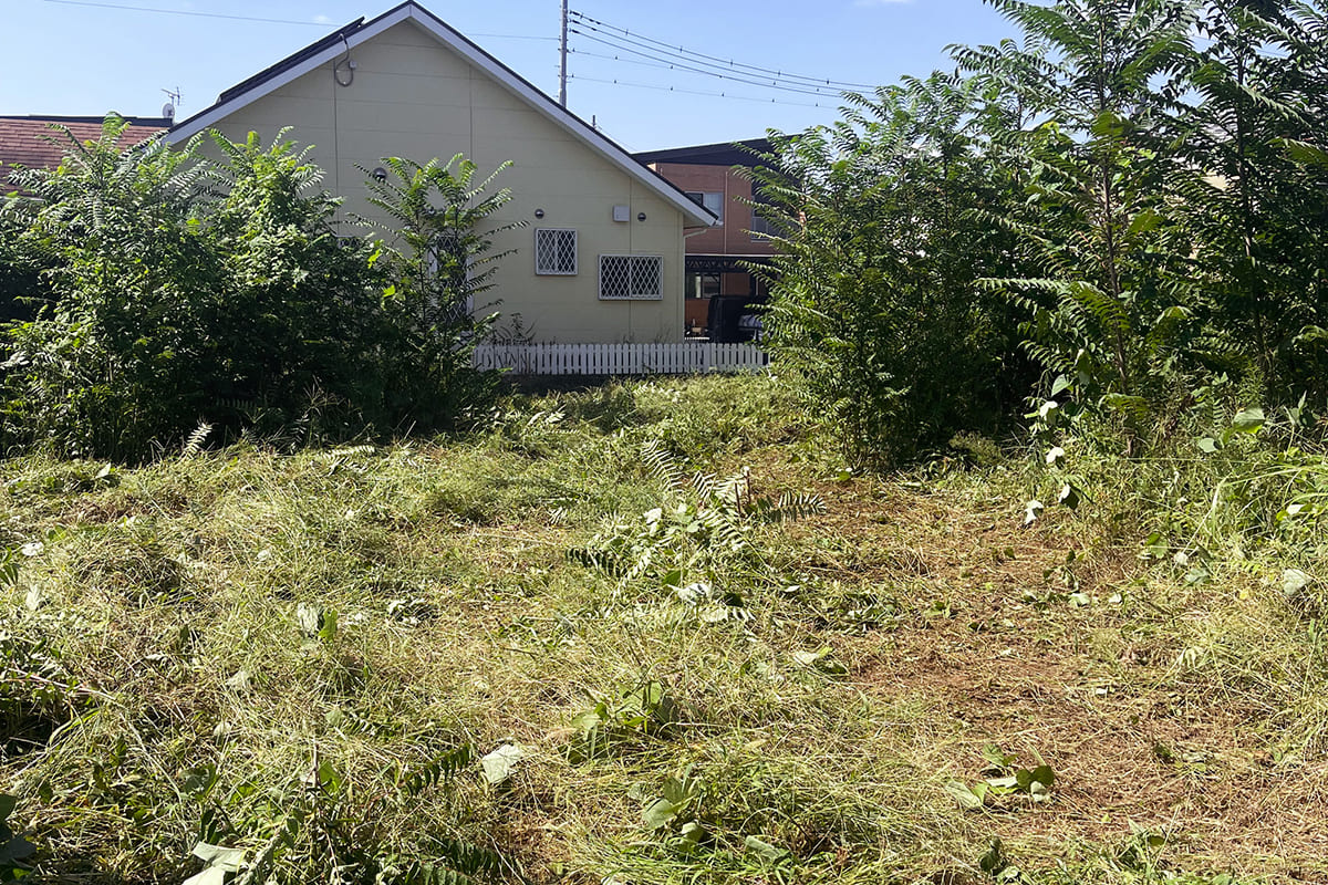 伐採する前の住宅用地