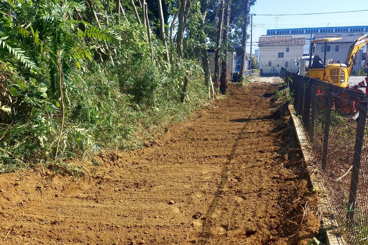 きれいに伐採された私有地