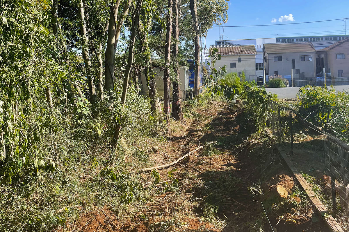 伐採する前の私有地