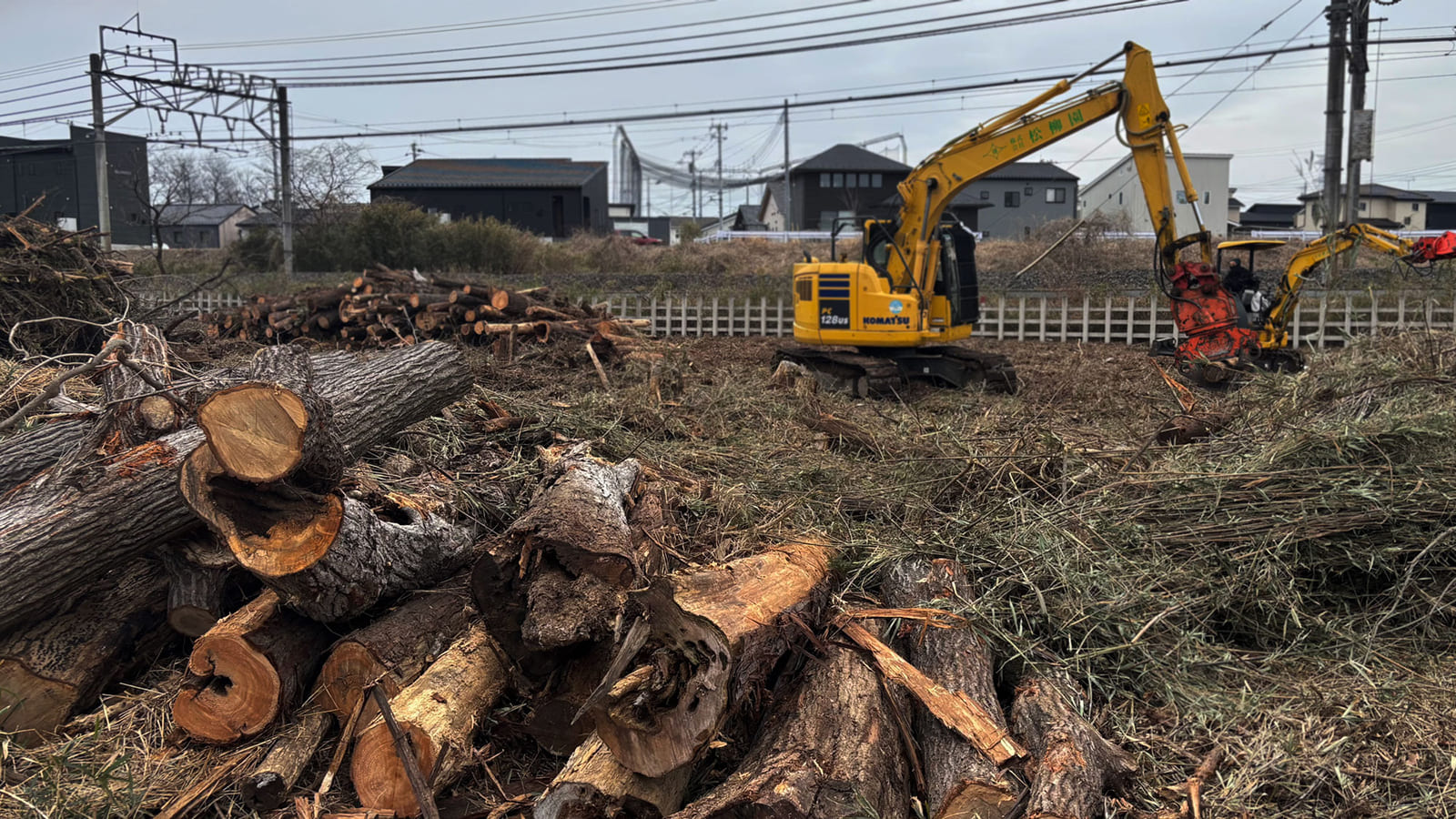 重機で伐採している様子