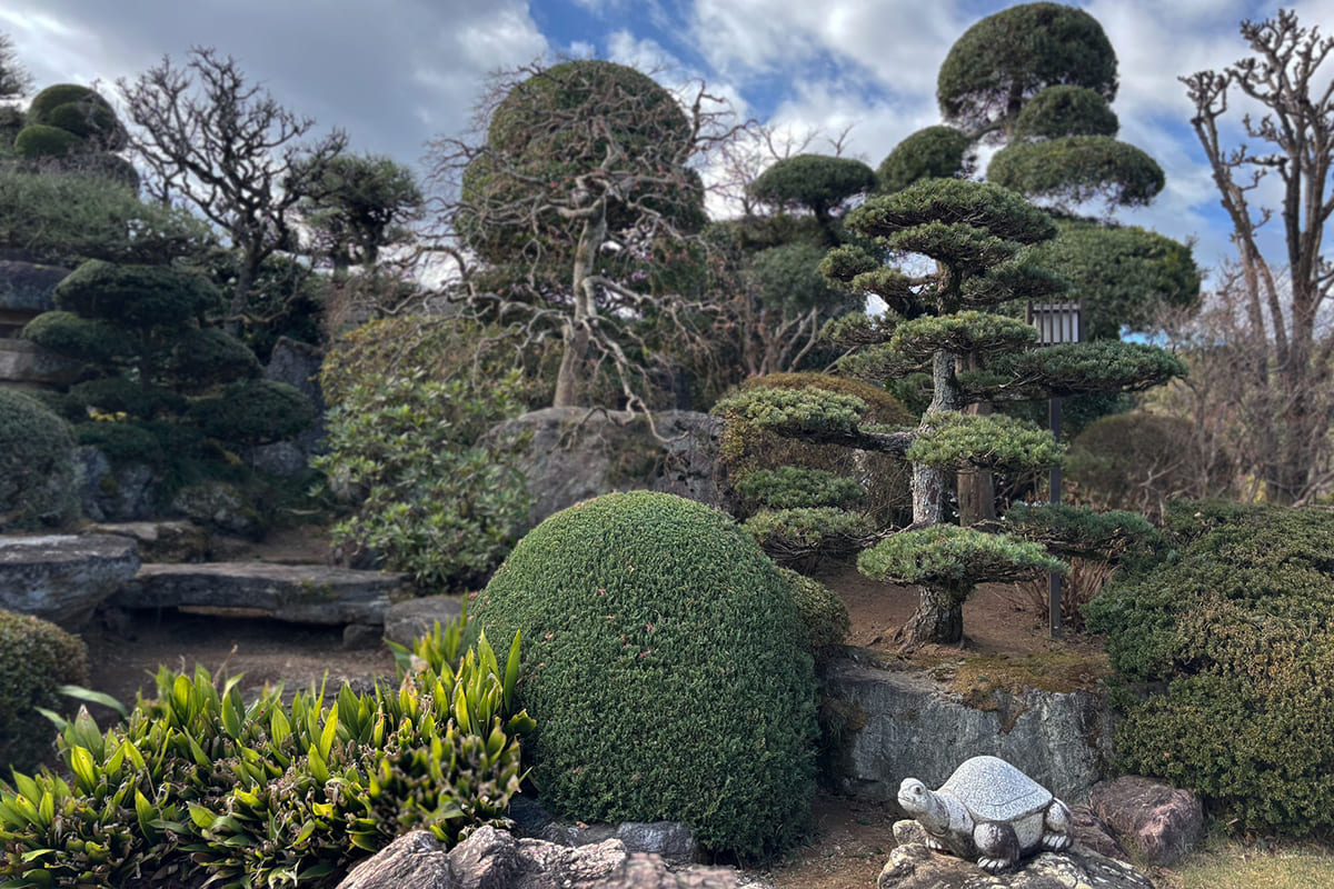 整えられた庭園