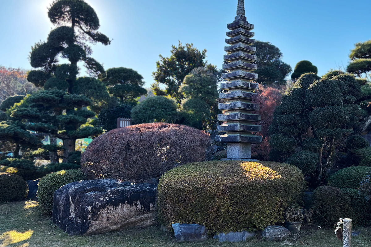 刈込みされた低木