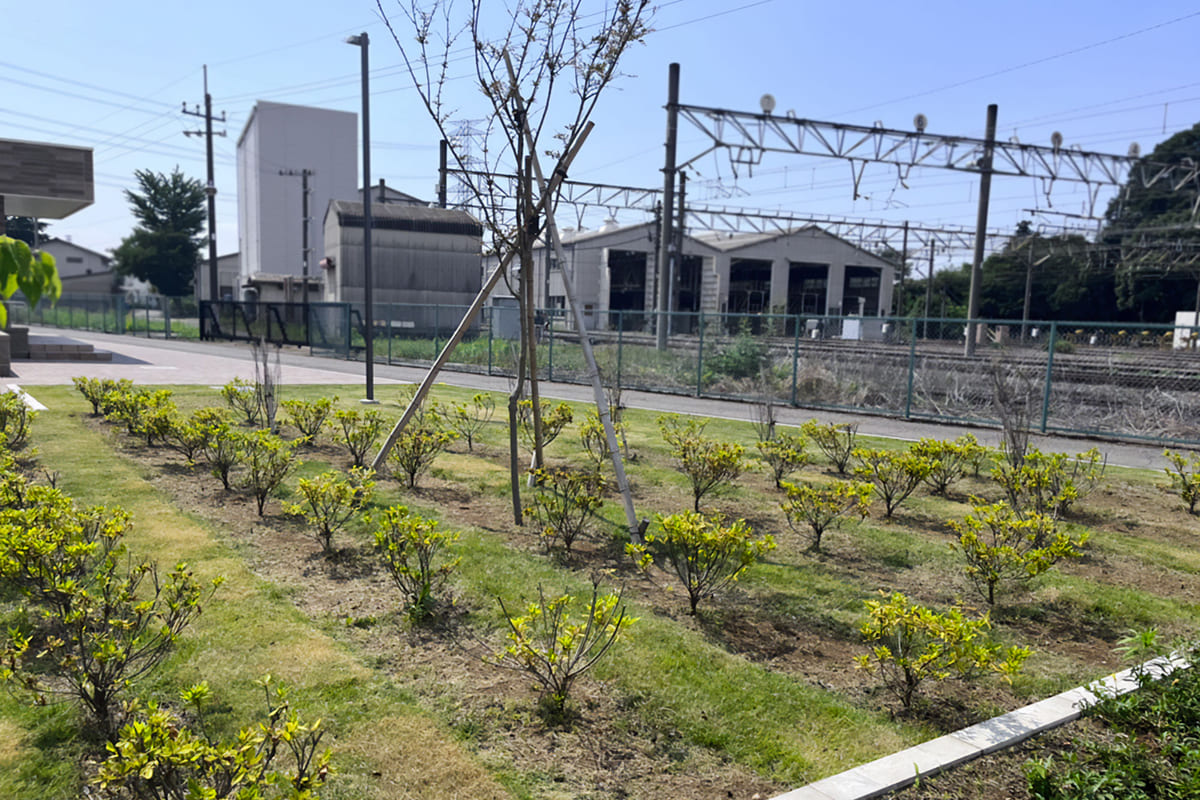施設の草木の管理