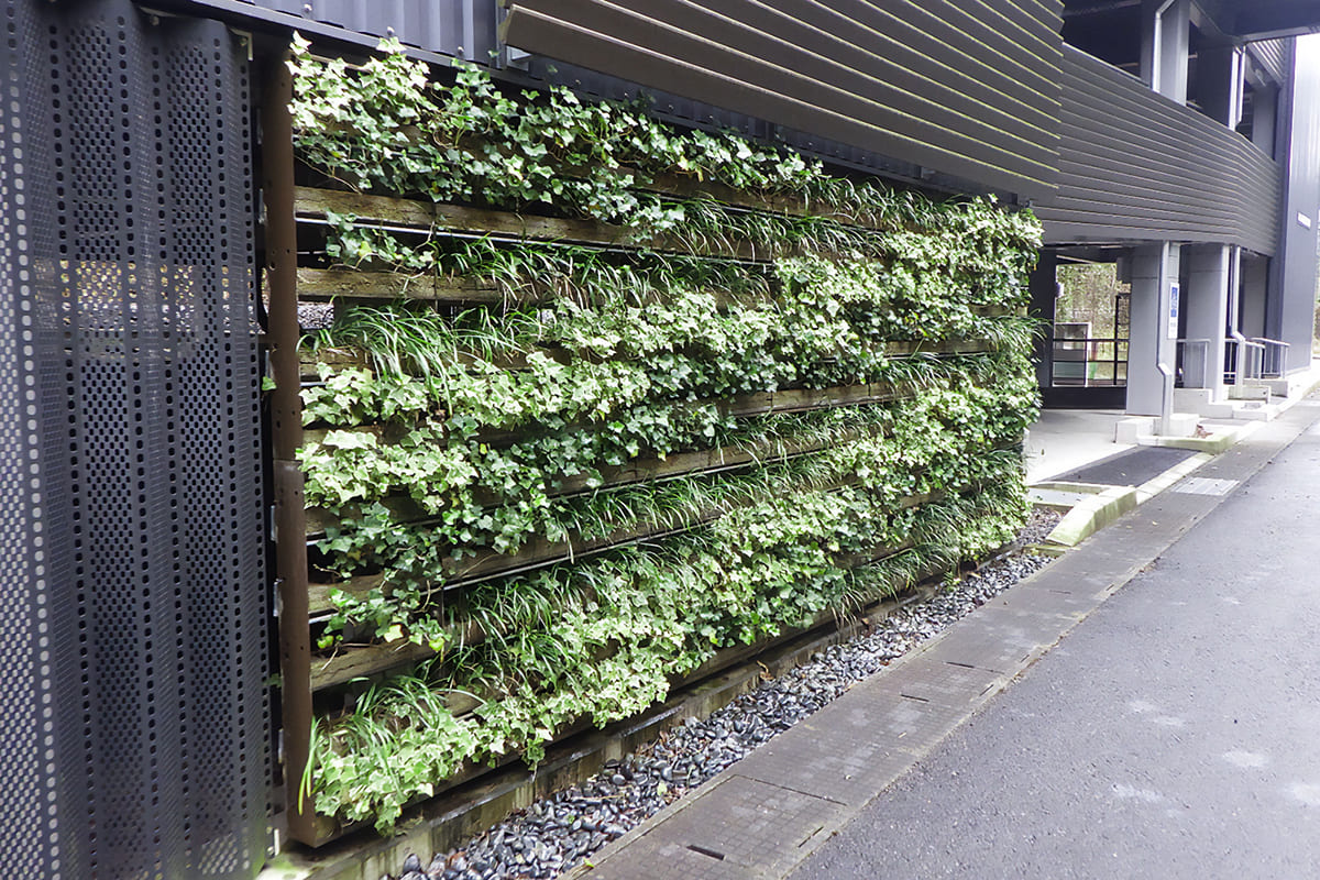 壁面緑化エクステリアの景観維持