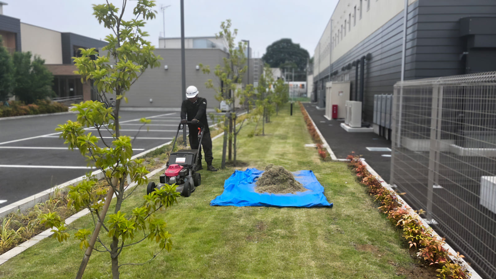 公共施設の芝をメンテナンスしている画像