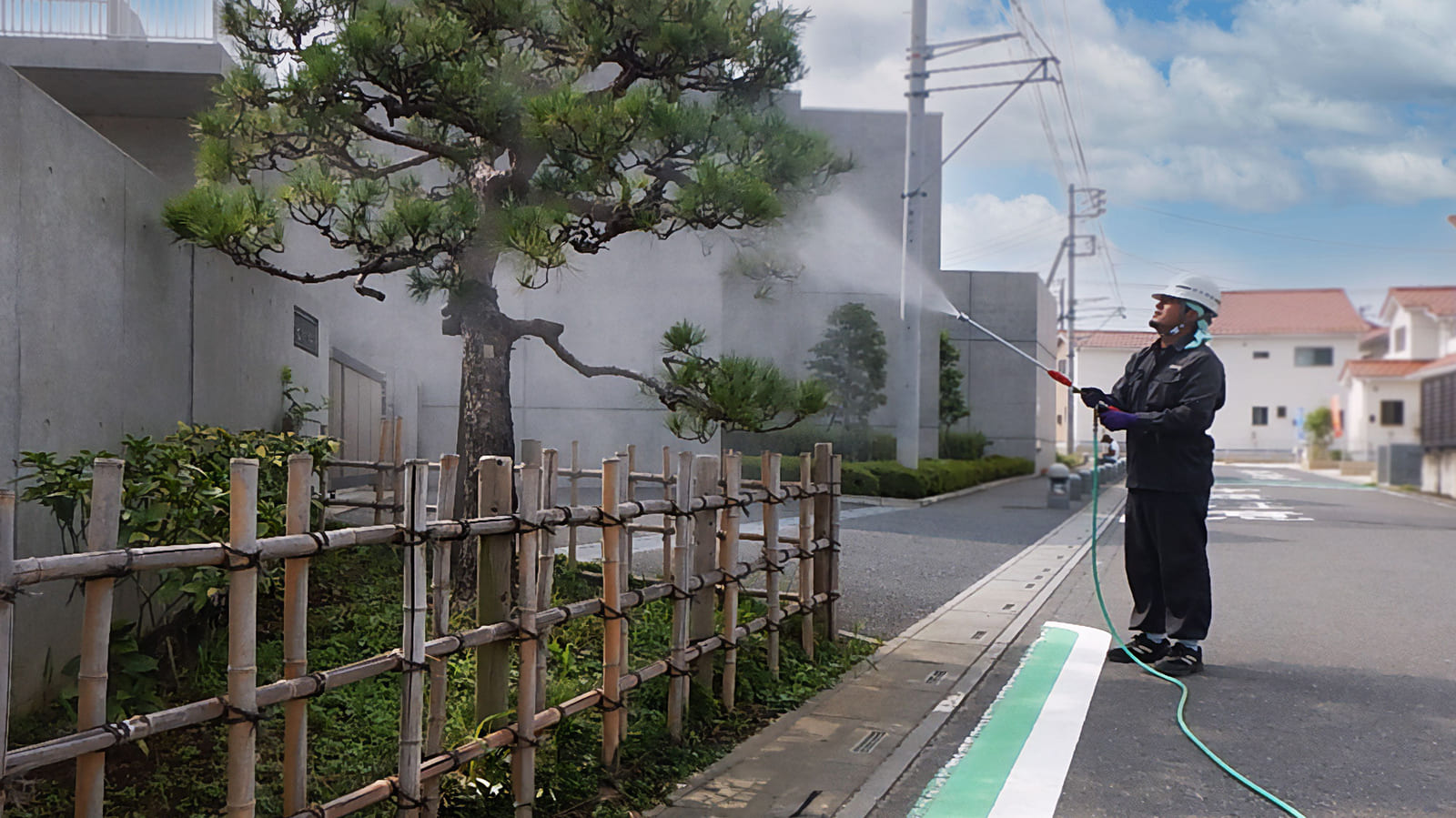 樹木の消毒・害虫駆除作業をしている画像